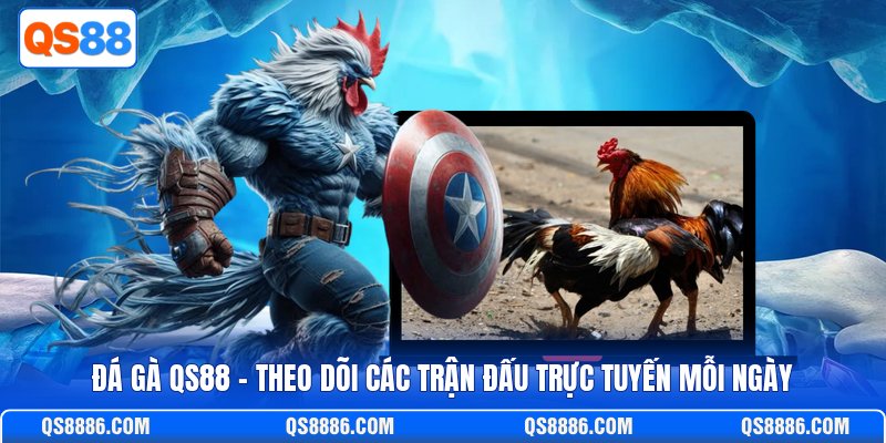 Đá Gà QS88 - Theo Dõi Các Trận Đấu Trực Tuyến Mỗi Ngày